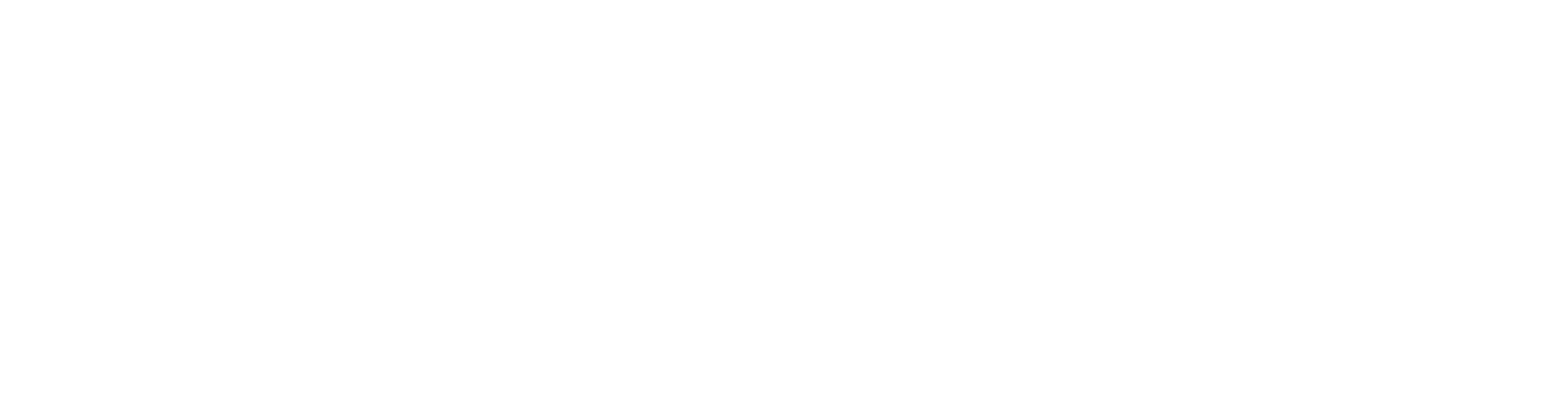 Triplink Logo